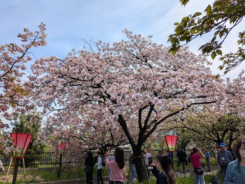 PXL_20260414_040918278