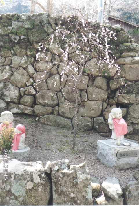 img20260914_14080408