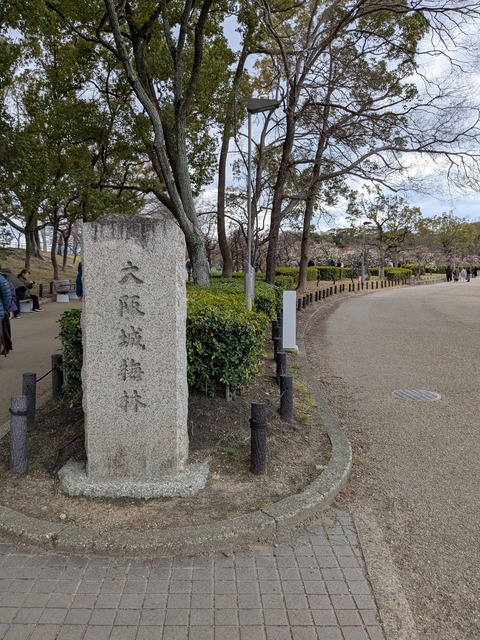 PXL_20250307_035854099