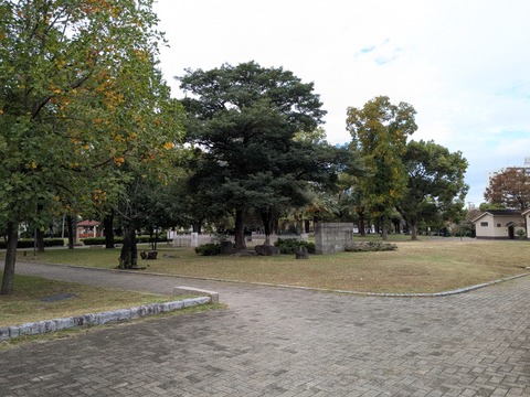 PXL_20251106_010428938.MP