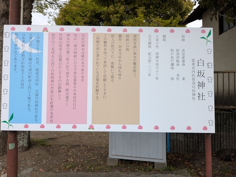 PXL_20260407_002750410