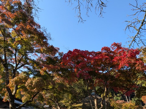 PXL_20241122_002956760