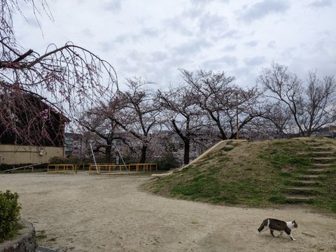 image000002