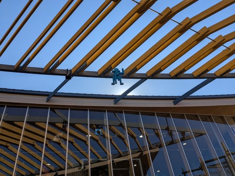 PXL_20250226_052255864