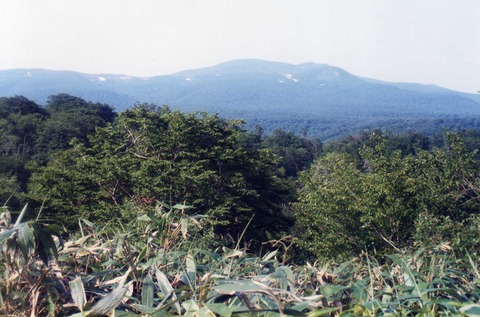 img769
