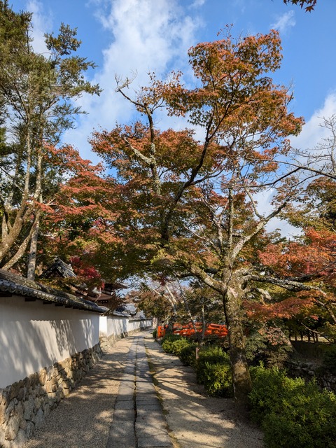 PXL_20241122_005405600