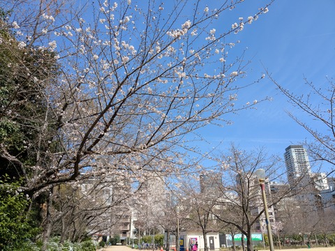 PXL_20260327_011904644