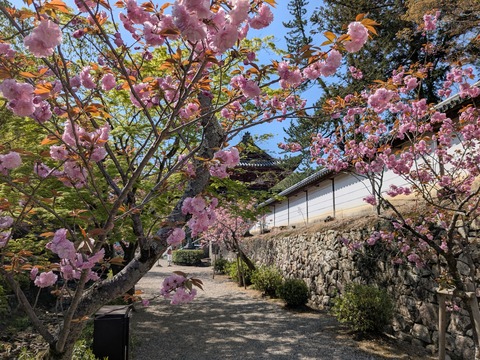 PXL_20250417_003137865