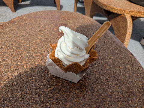 PXL_20251013_030212661