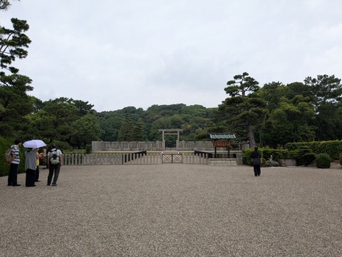 PXL_20260608_031251676