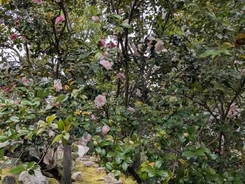 PXL_20250401_015617158