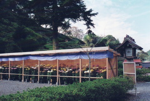 img20231112_14324501