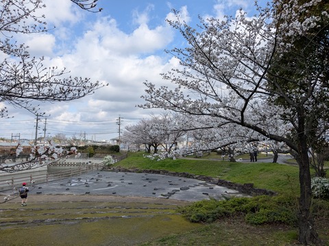 PXL_20250403_003433342