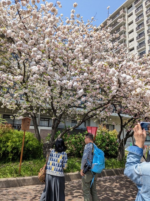 PXL_20230411_033423977~2