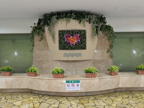 PXL_20250701_064216524