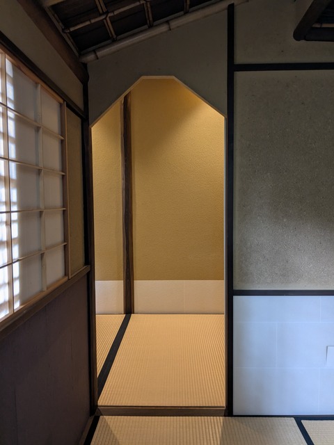 PXL_20250131_041855763