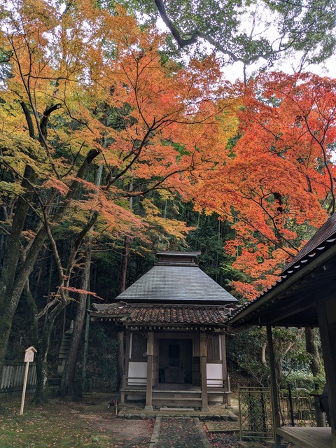 PXL_20241128_010629249