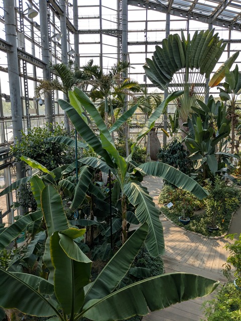 PXL_20250416_054634930