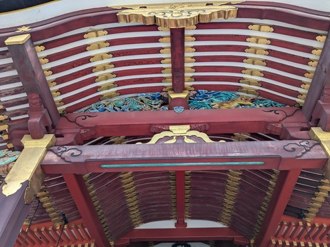 PXL_20250401_033125792