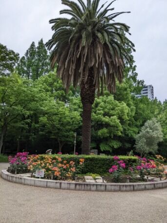 image000000