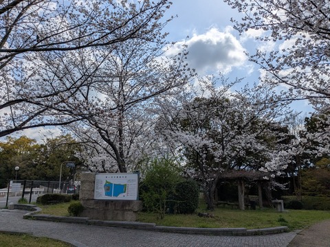 PXL_20250403_003222222