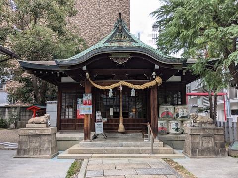 PXL_20241112_033923953