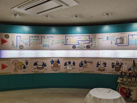 PXL_20240416_038642365