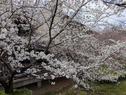 PXL_20250403_032521875