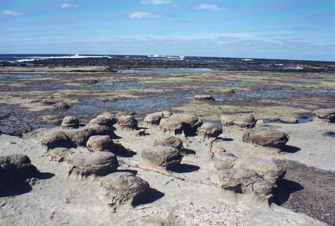 img20231112_14205286_0001