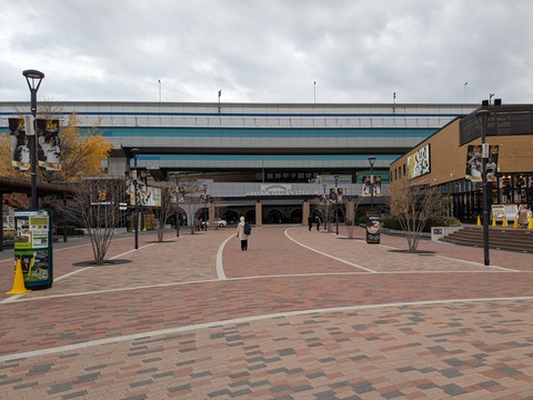 PXL_20231205_014657813