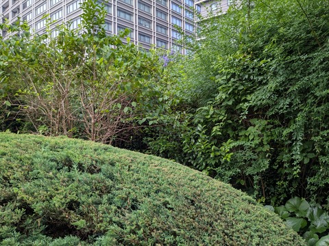 PXL_20250701_065101718