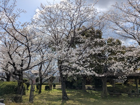 PXL_20250403_003703737