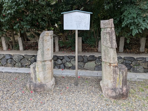 PXL_20250401_015043745