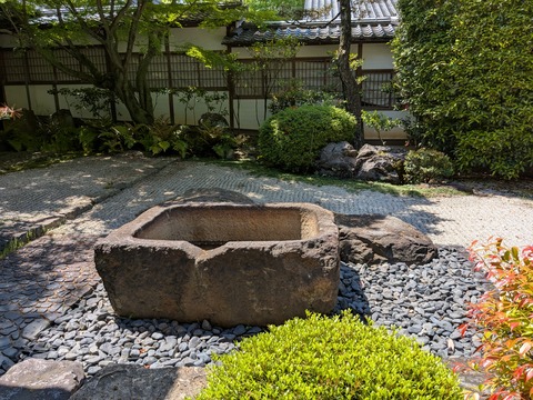 PXL_20250429_012207647