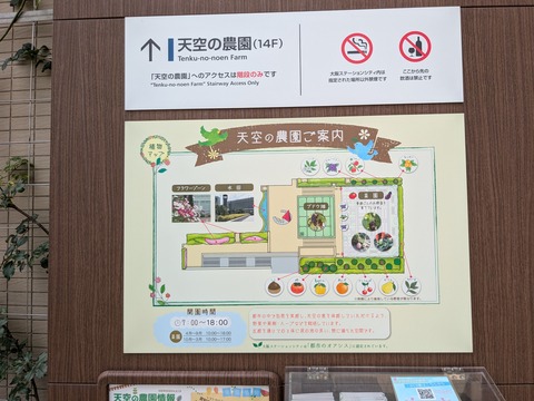 PXL_20240709_003528734