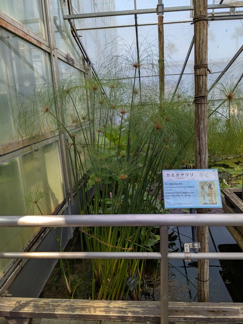 PXL_20250416_043333899