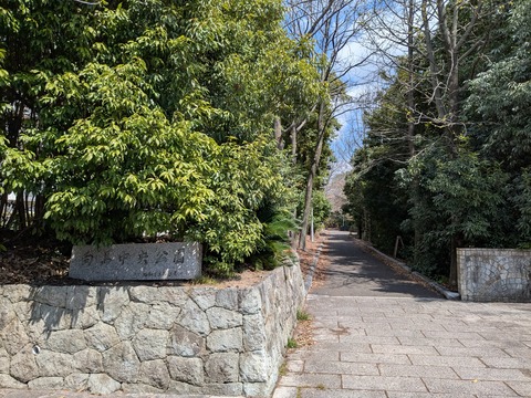 PXL_20250404_031144038