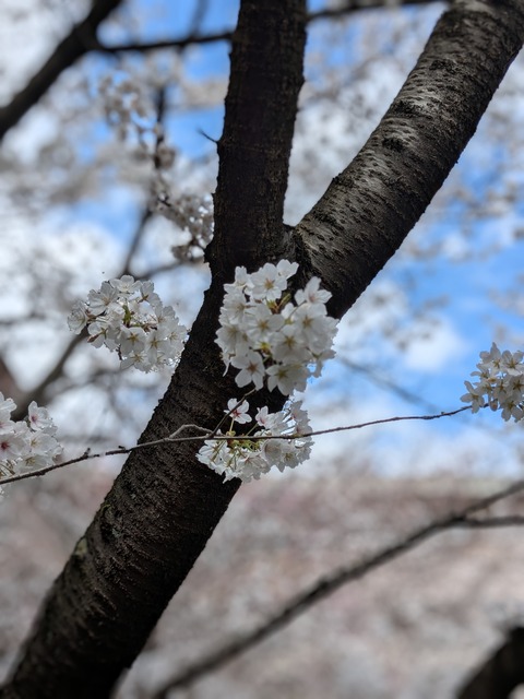 PXL_20250403_032606662.PORTRAIT