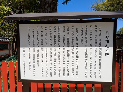 PXL_20260505_033835922