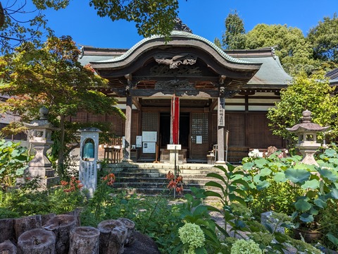 PXL_20230717_003142354