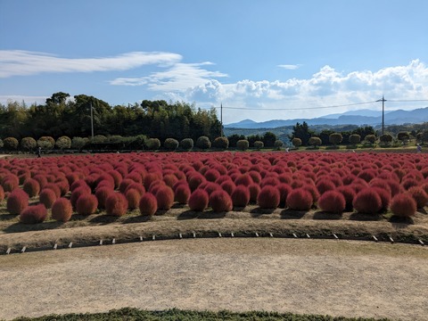 PXL_20231020_005731740