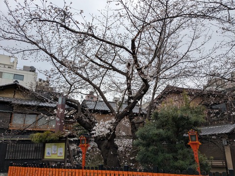 PXL_20250401_010205591