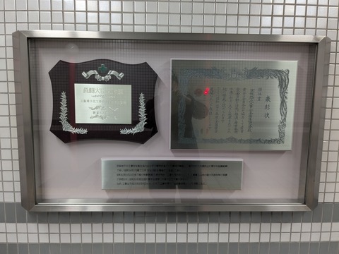 PXL_20250401_004356752