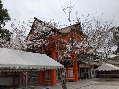 PXL_20250401_033611129