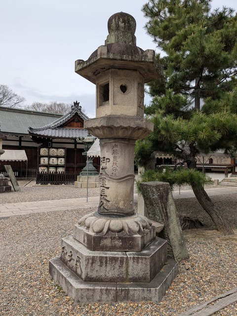 PXL_20250401_020454692