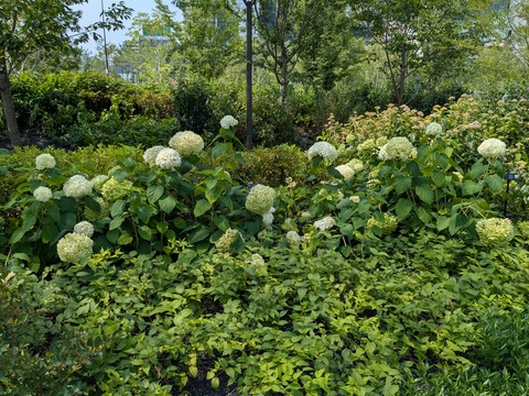 PXL_20250701_051320985