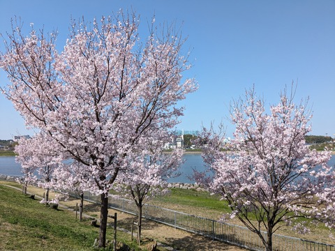 PXL_20240401_010218317