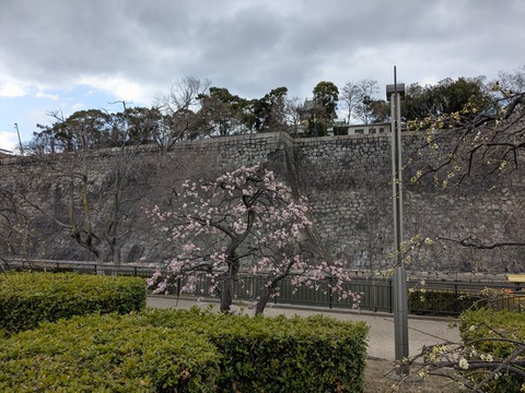 PXL_20250307_040303456