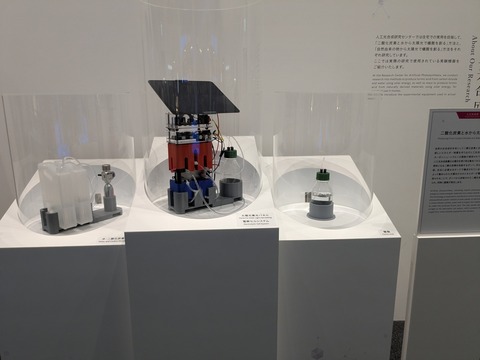 PXL_20251013_011409438