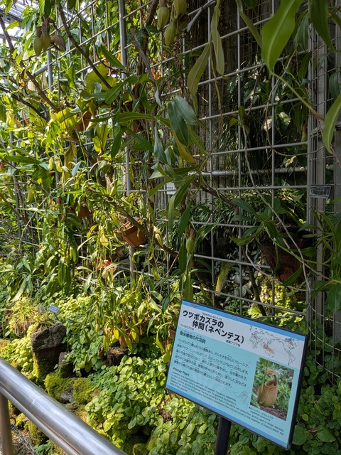 PXL_20250416_044514906